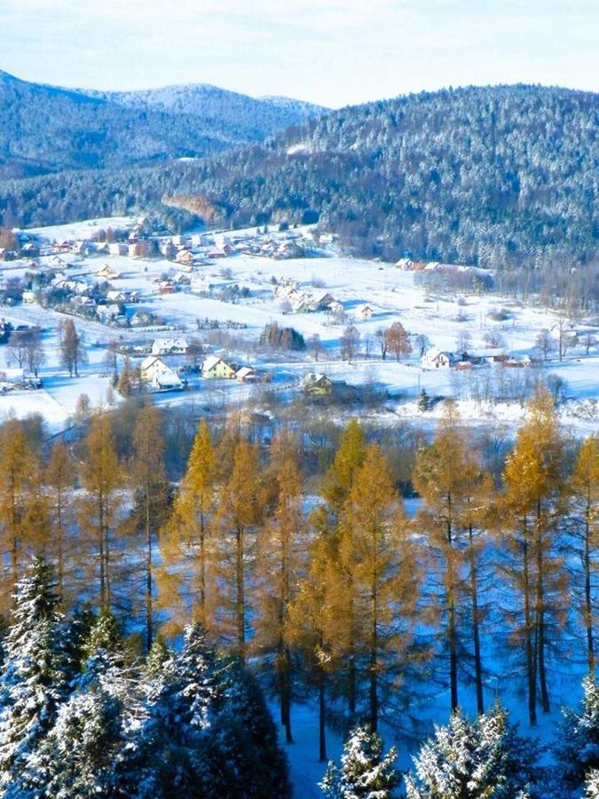Osrodek Uzdrowiskowy Beskid Hotel Wysowa-Zdrój Екстериор снимка